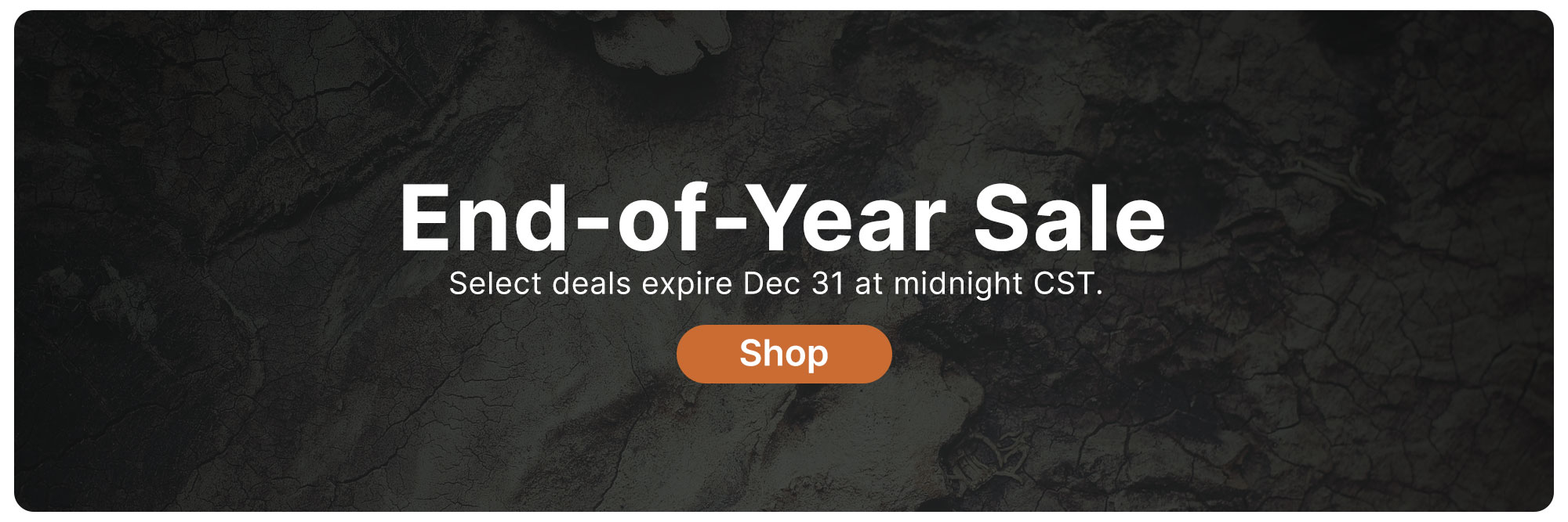 End of Year Sale