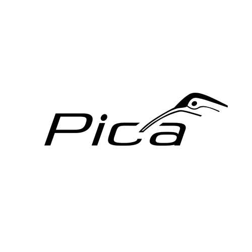 Pica
