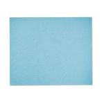 Festool FES770 - Manual Abrasive Granat (230 x 280mm) (10 Pack)