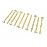 Taytools TT460 - 10-Piece 5/16" x 18 TPI Sliding T Bolts